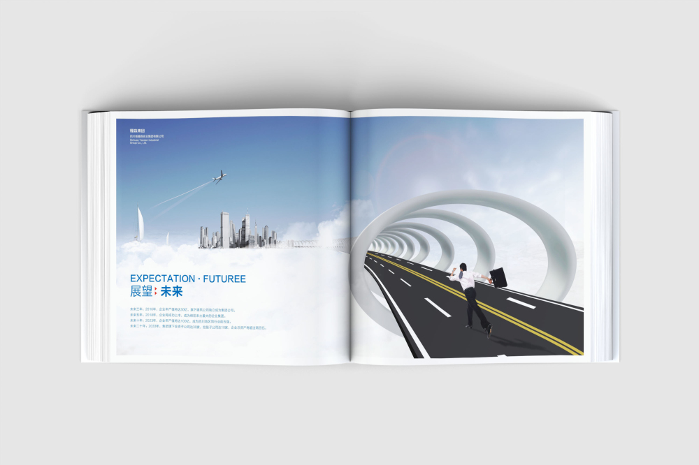 新建县画册设计